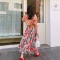 Cross border source South Korea early spring gentle romantic tulip Print Chiffon Skirt pleated design long skirt
