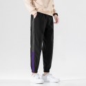 Autumn casual pants men's Korean fashion loose 9-point toe binding fashion brand versatile 3-bar sports pants men's 