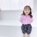 Children's summer 2020 new girls' Korean retro brand short sleeve shirt 19259 