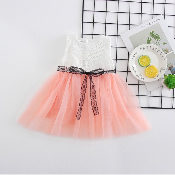 0.25 generation of foreign trade children's wear summer new European and American baby lace skirt baby embroidered princess skirt 1788