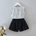 EW foreign trade children's wear 2020 girls' shorts summer wear new Zhongda children's fashion two piece set tz61