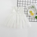 0.25 generation of foreign trade children's wear summer new European and American baby lace skirt baby embroidered princess skirt 1788