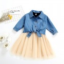 0.9ew foreign trade children's clothing autumn 2020 Euro American girls' fashion denim three piece skirt suit