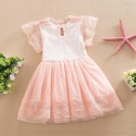0.6 generation of foreign trade children's wear European and American summer new children's skirt Lace Princess Dress 1638