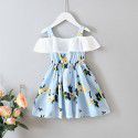 EW foreign trade children's clothing 2020 summer new dress floral suspender lovely girl skirt q165