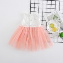 0.25 generation of foreign trade children's wear summer new European and American baby lace skirt baby embroidered princess skirt 1788